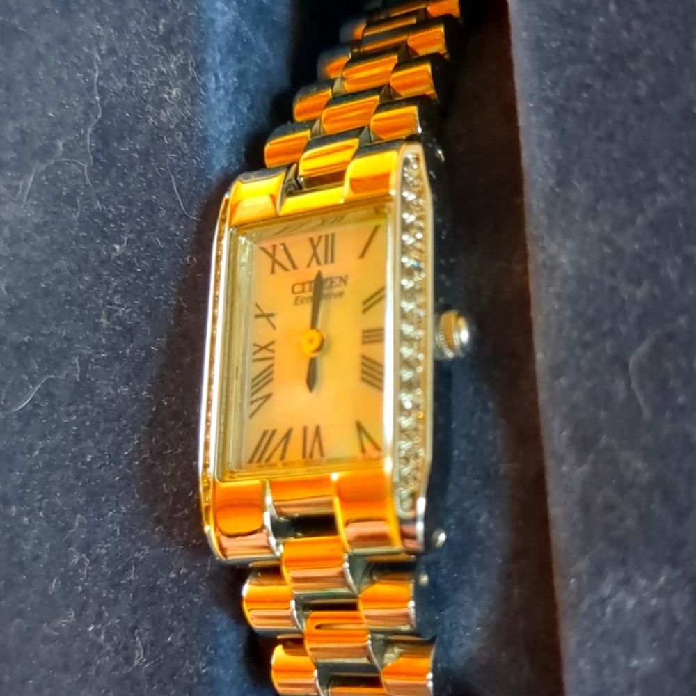Citizen watch